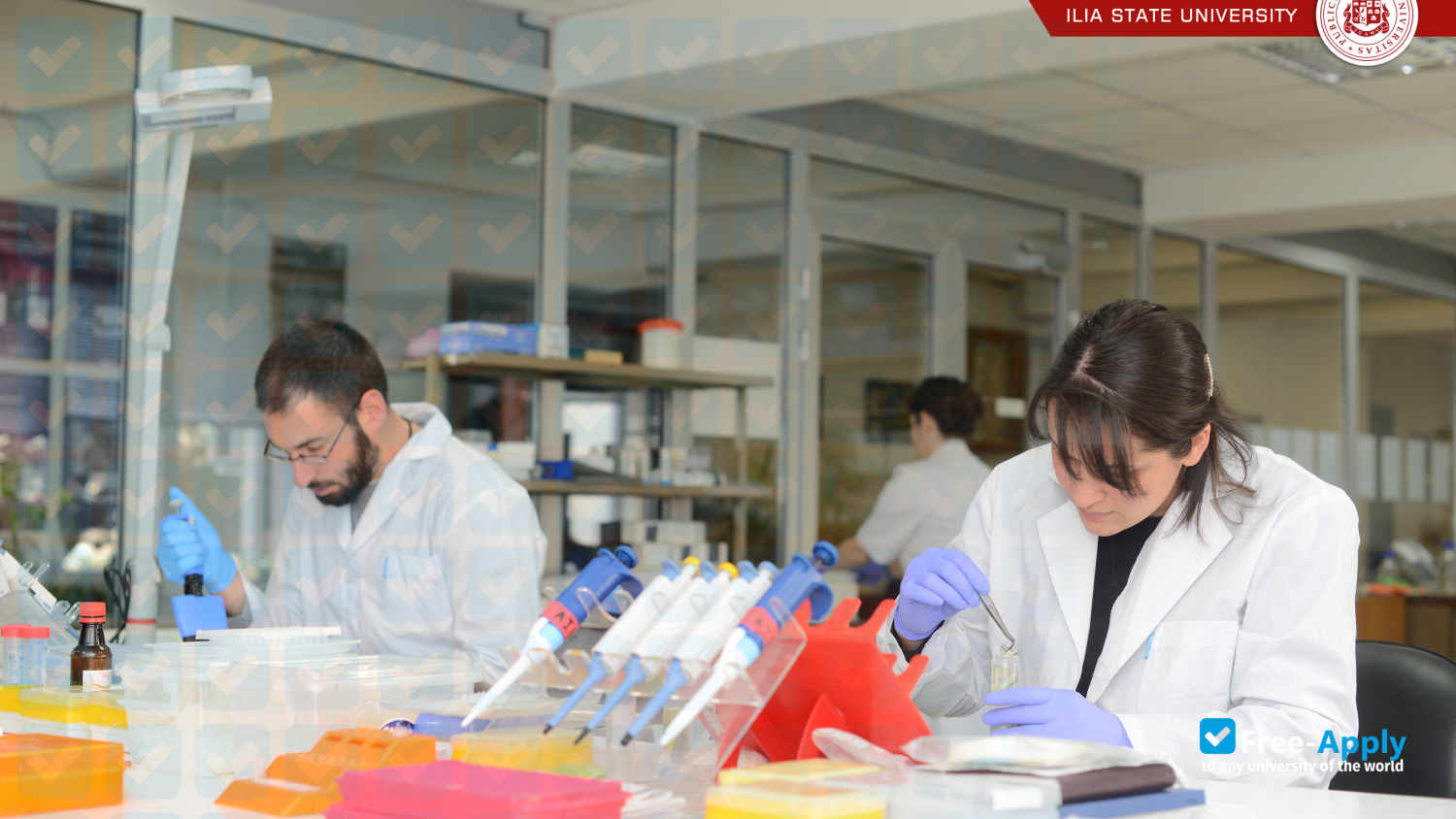 Ilia State University photo #9