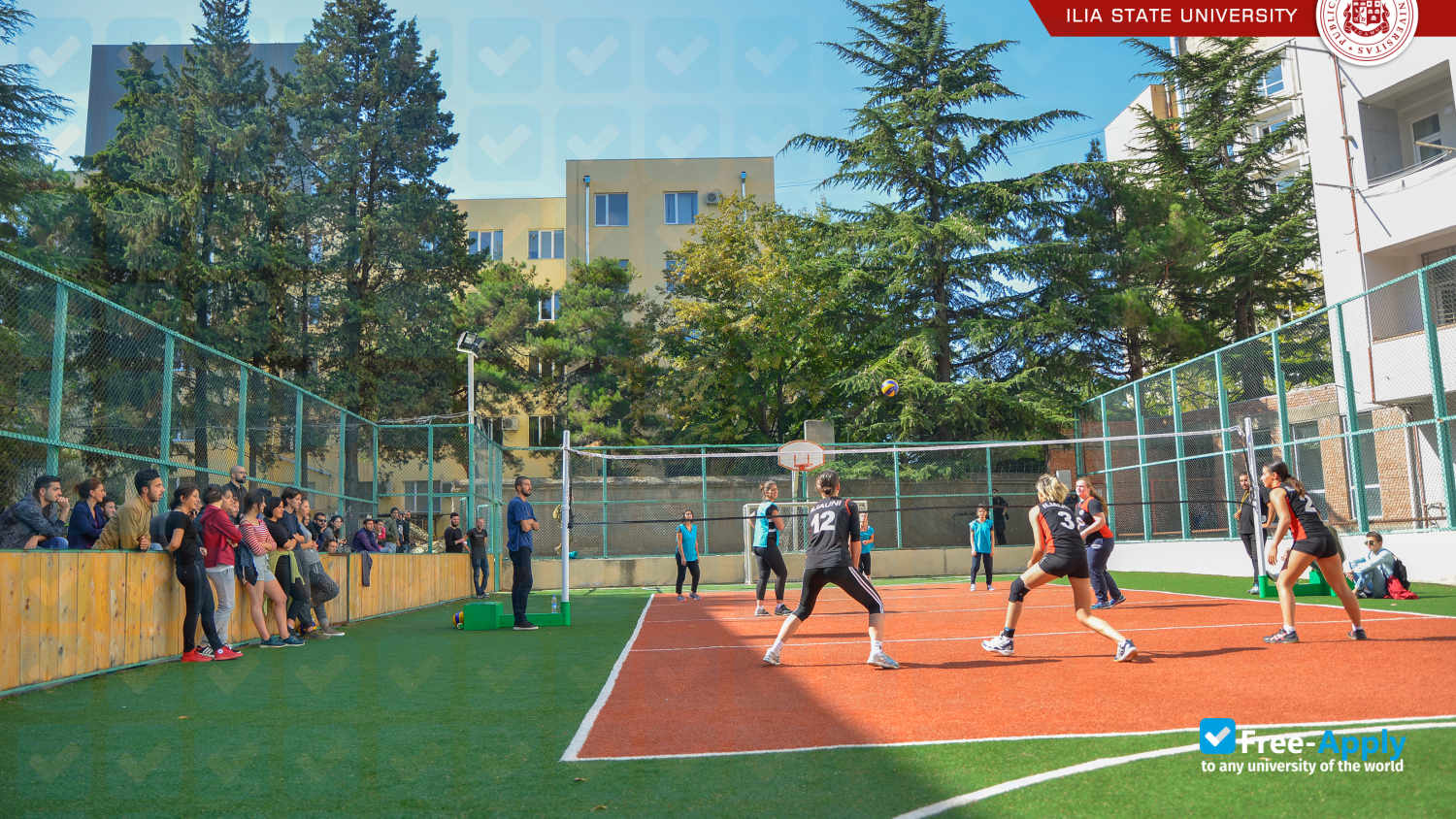 Ilia State University photo #5