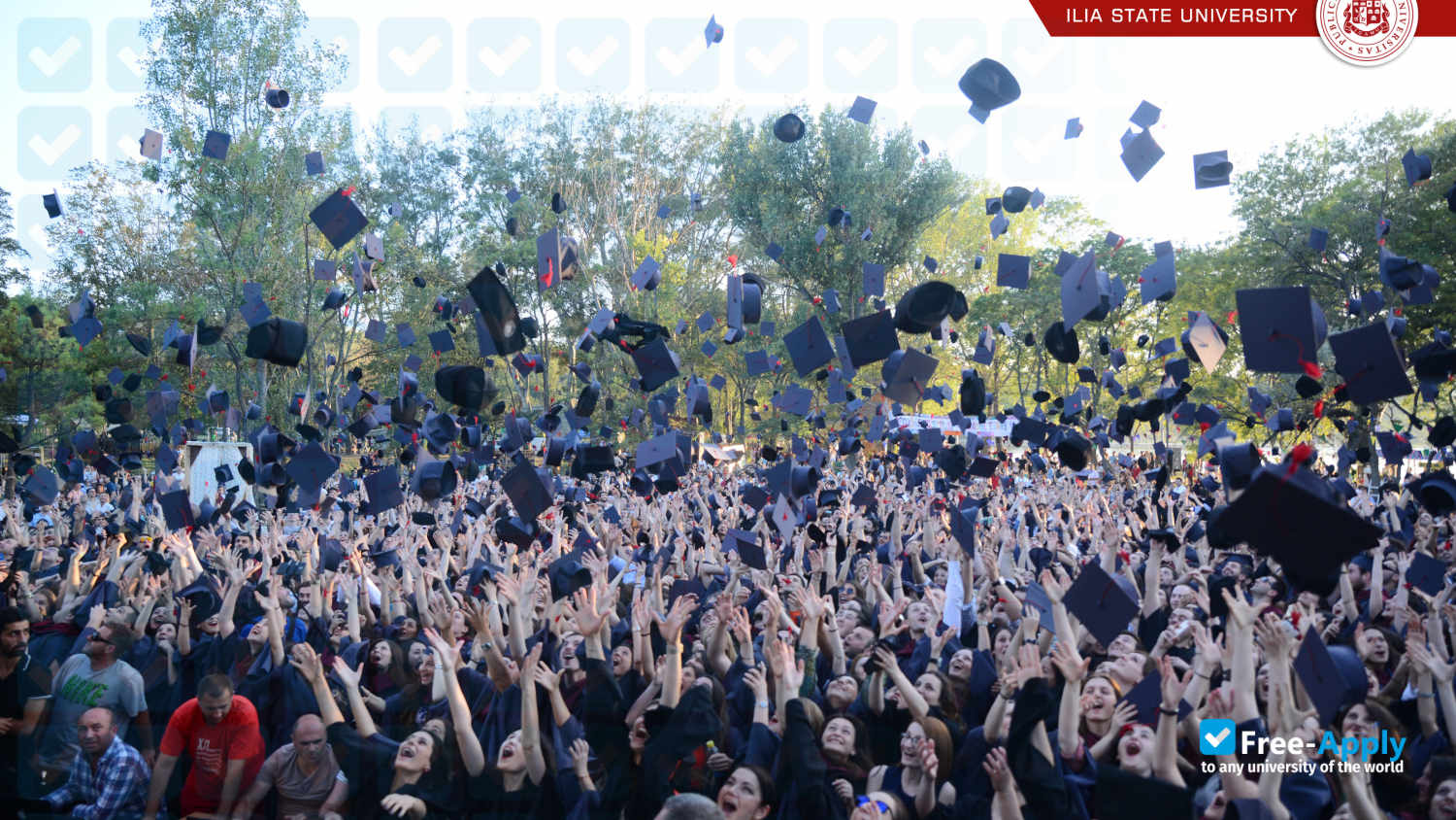Ilia State University photo #2
