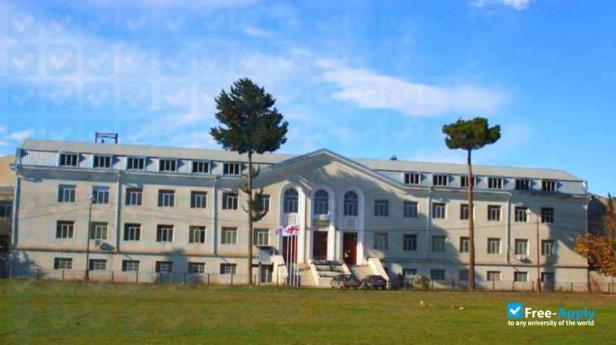 Georgian National Institute "Rvali" фотография №23