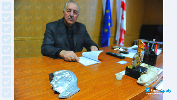 Sukhishvili Teaching University photo #1