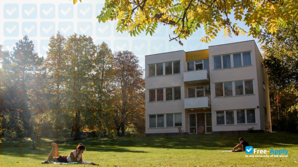 Bard College Berlin photo #5