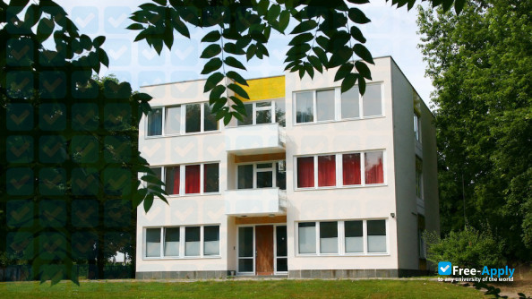 Bard College Berlin photo #11