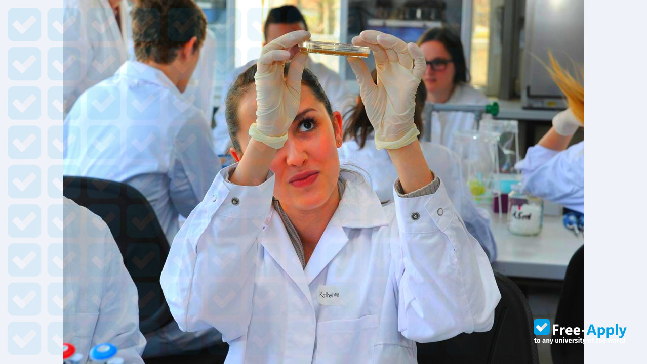 Photo de l’Technical University of Darmstadt #9