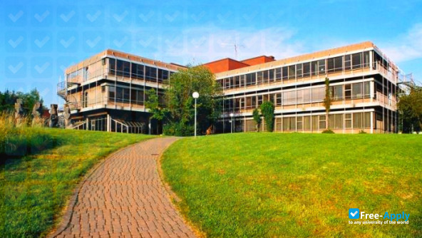 University of Education Weingarten photo #3