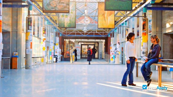Leuphana University of Luneburg photo #7