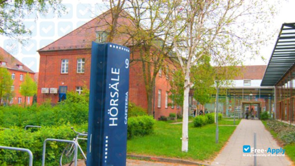 Leuphana University of Luneburg photo #8