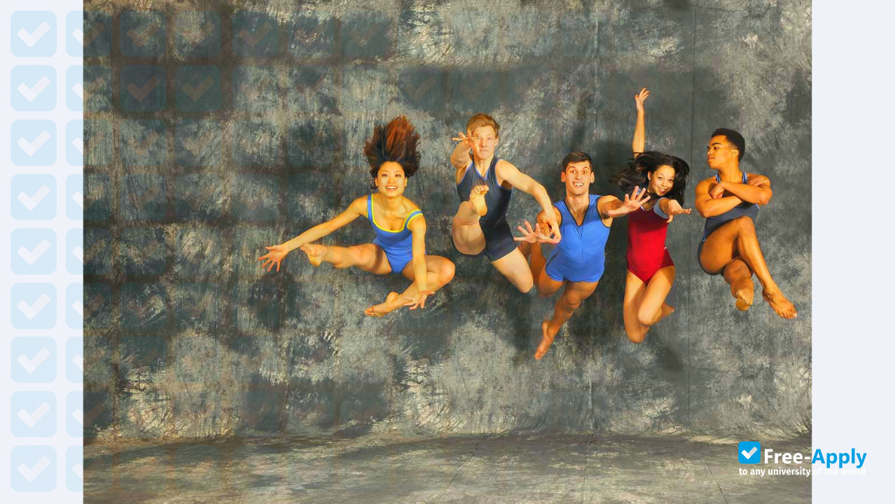 Palucca University of Dance Dresden фотография №4