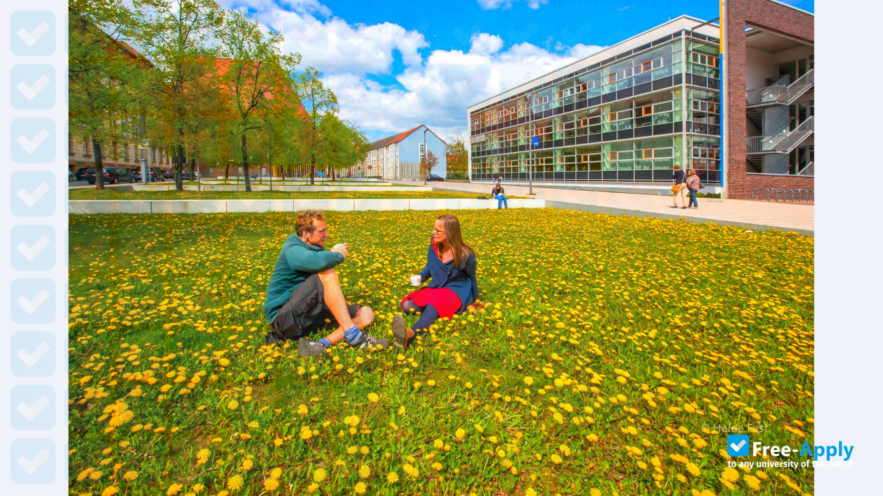 Europe University Viadrina photo #6