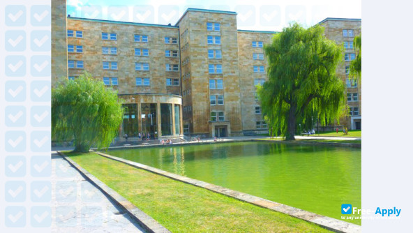 creative writing degree in germany Goethe University Frankfurt am Main photo