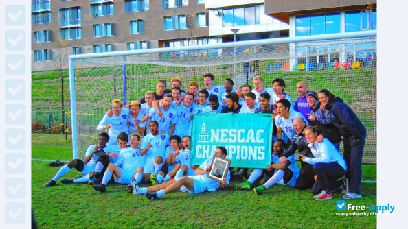 German University of Health and Sport photo #10