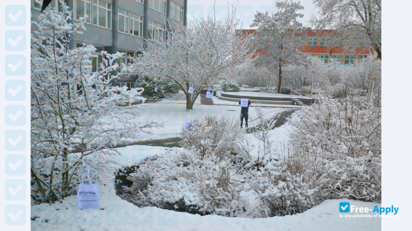Provadis School of International Management and Technology photo #8