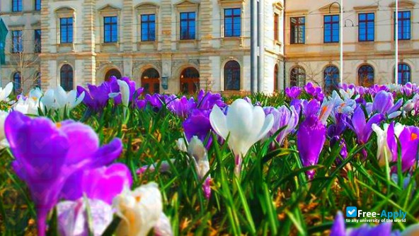 Chemnitz University of Technology photo #6