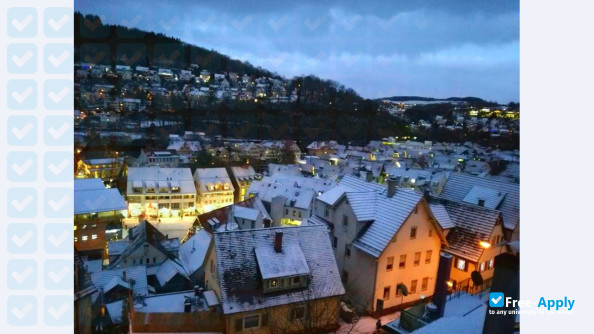 College of Business and Media of Calw фотография №2