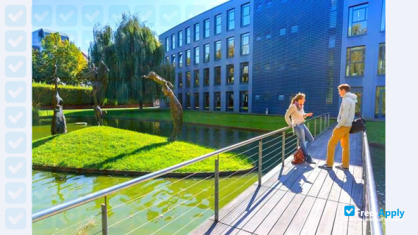 SRH University Heidelberg photo #6