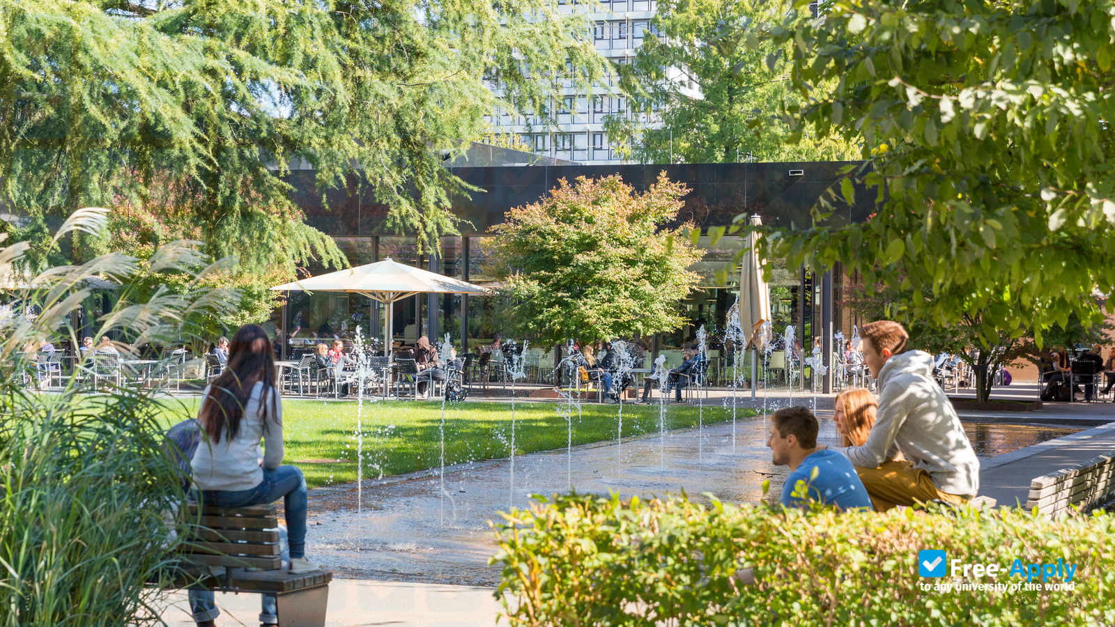 SRH University Heidelberg photo #4