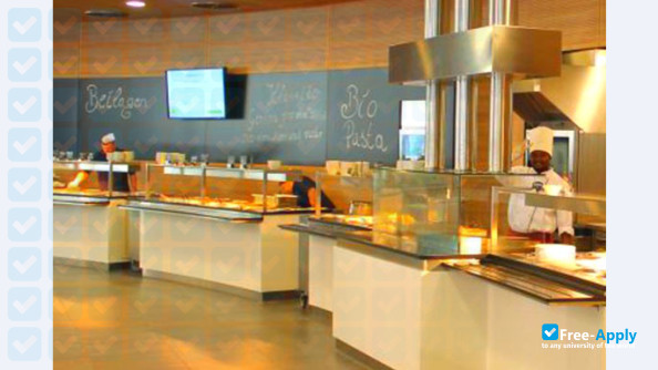 SRH University Heidelberg