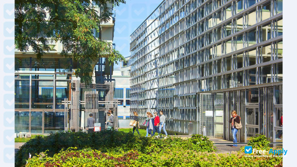 Stuttgart State Academy of Art and Design photo #8
