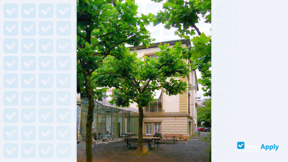 Photo de l’State College of Fine Arts Städelschule #2