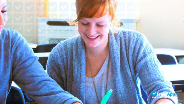 MSB Medical School Berlin photo #9