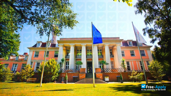 MSB Medical School Berlin photo #8