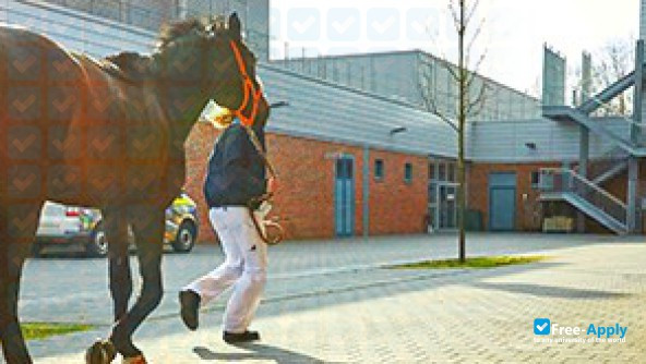 University of Veterinary Medicine Hannover photo