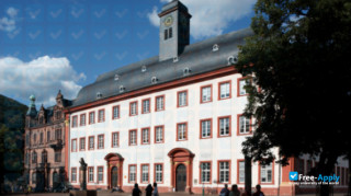 University of Heidelberg vignette #2