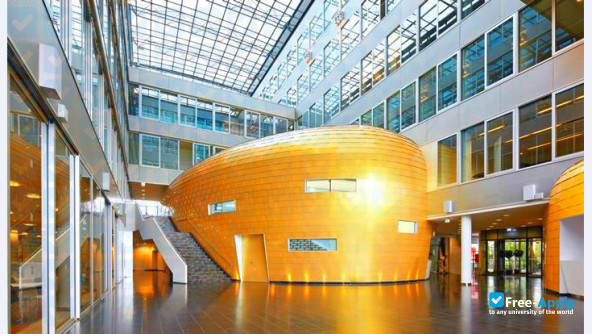 Kühne Logistics University photo #14