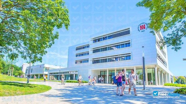 Hildesheim University photo #11