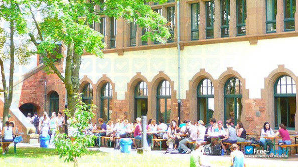 University of Education, Heidelberg photo #9