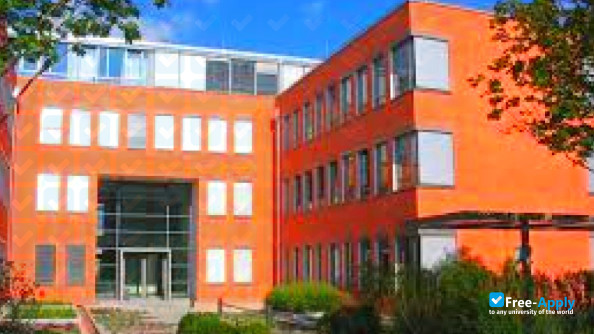 Foto de la Heidelberg University of International Management #8