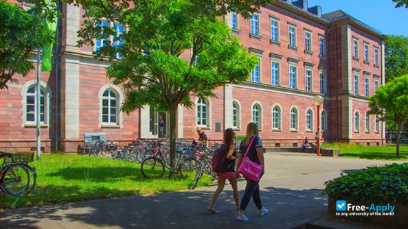 University of Education Karlsruhe фотография №3