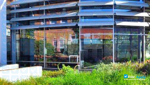 Photo de l’University of International Business and Logistics #8