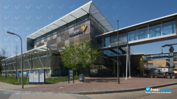 Photo de l’University of International Business and Logistics #7