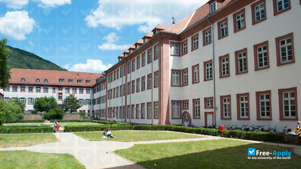 Foto de la Heidelberg University #6