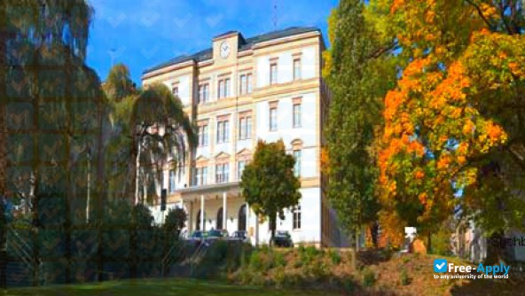 Foto de la Mittweida University of Applied Sciences #17