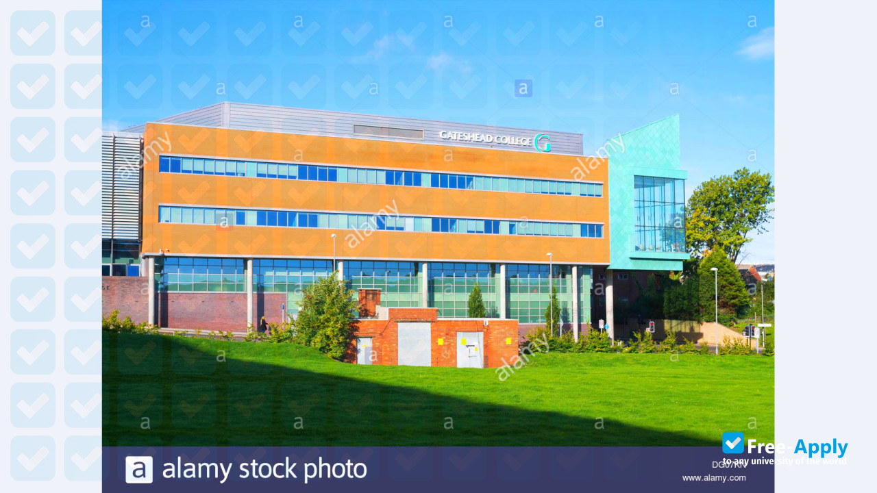 Baltic College фотография №5