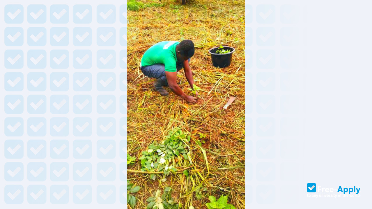 University College of Agriculture and Environmental Studies photo #1