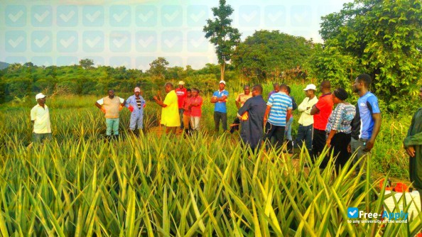 University College of Agriculture and Environmental Studies photo #6