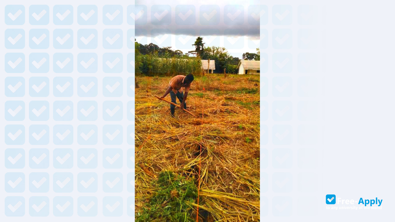 University College of Agriculture and Environmental Studies photo #4