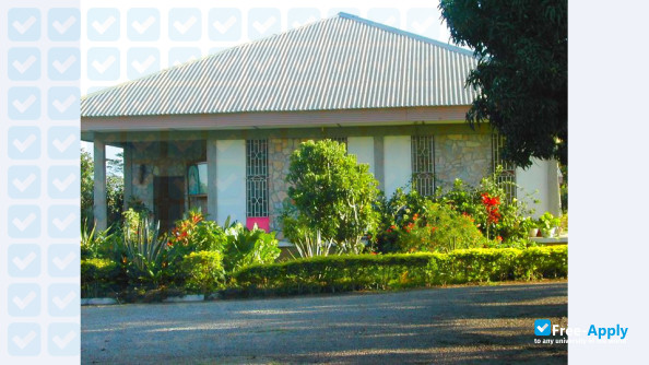 Foto de la Spiritan University College #10