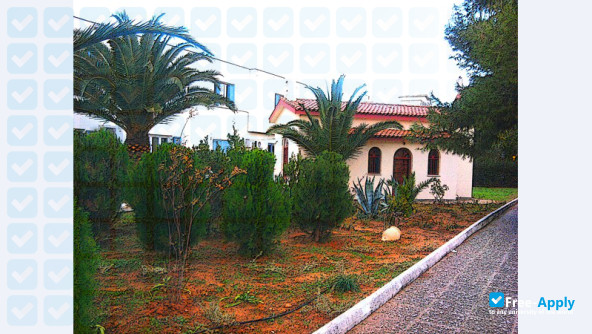 Ecclesiastical Academy of Athens photo #7