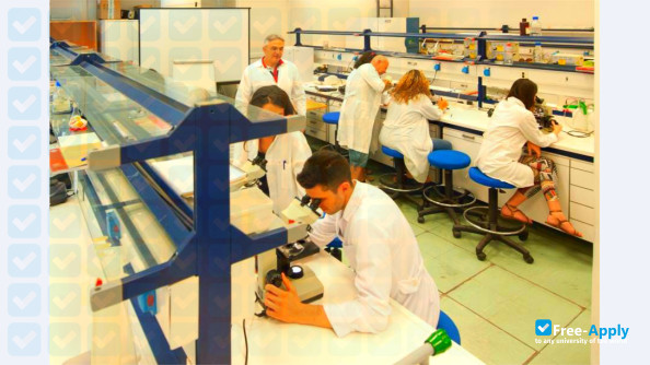 Hellenic Open University photo #29