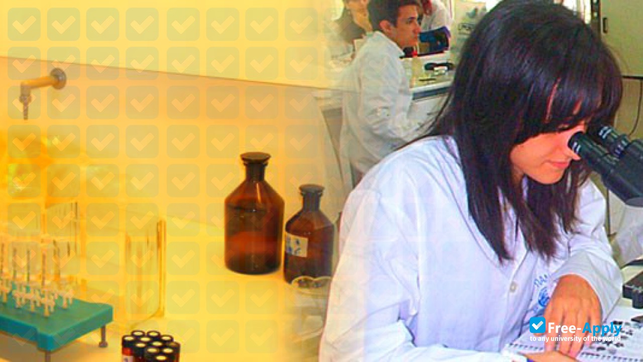 Foto de la University of the Aegean #6