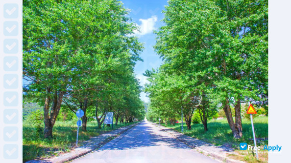 University of Ioannina photo #10