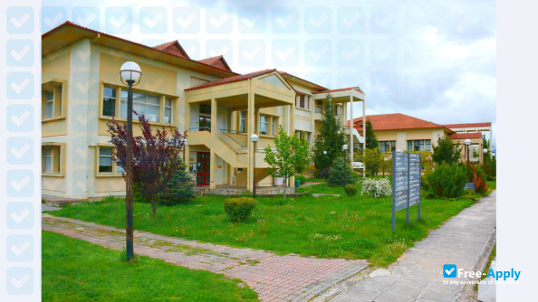 University of Ioannina photo #21