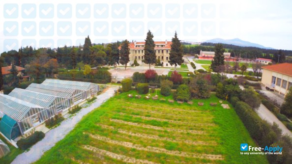 American Farm School Thessaloniki photo #1