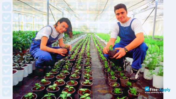 American Farm School Thessaloniki photo #2