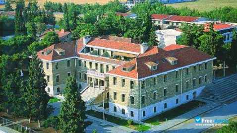 American Farm School Thessaloniki photo #4