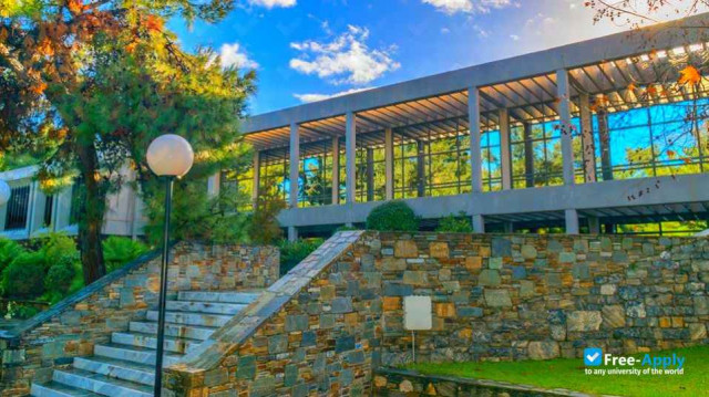 American College of Greece photo #1